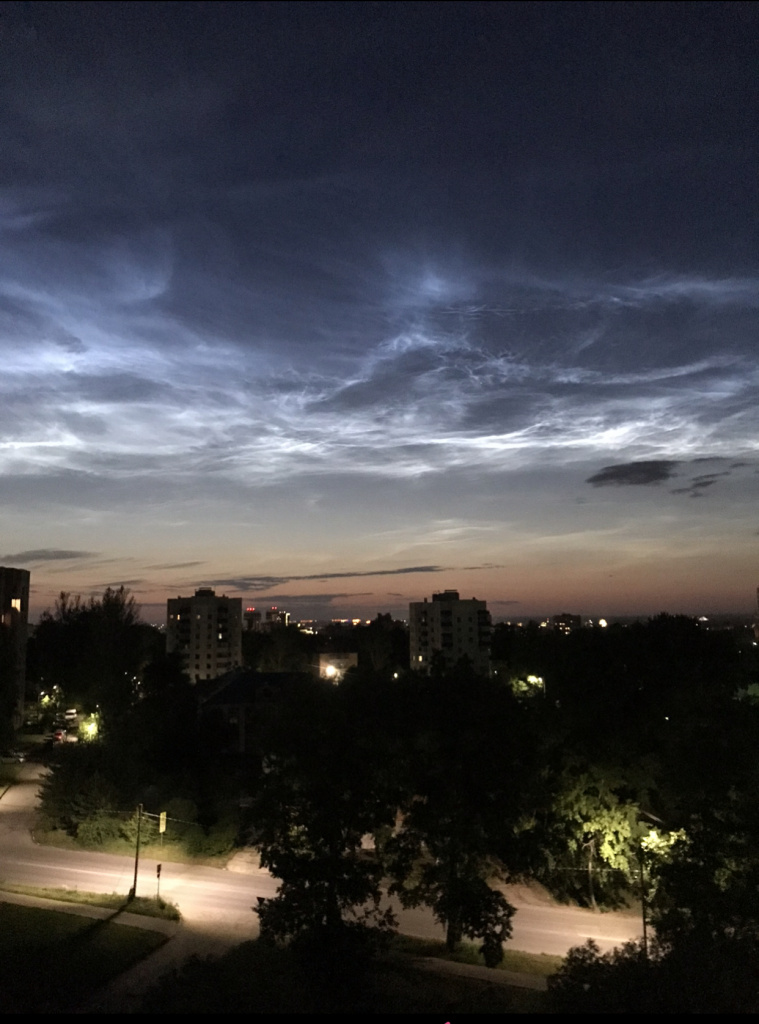 Лебедева Дарина (2).jpeg